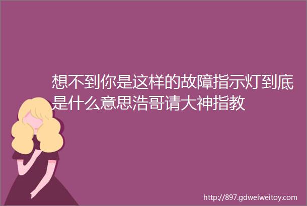 想不到你是这样的故障指示灯到底是什么意思浩哥请大神指教