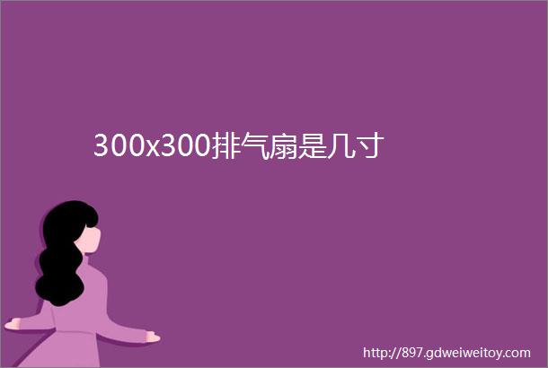 300x300排气扇是几寸